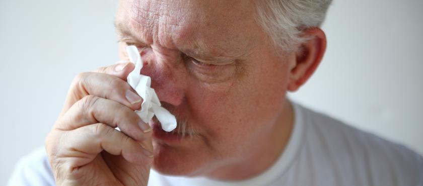 main of No More Sniffles, Avoid the Post Nasal Drip