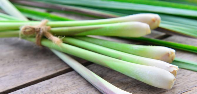 thumbnail of Lemongrass Can Be Beneficial To Many Health Situations