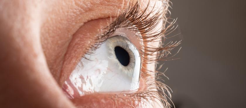 main of Undergoing a Cornea Transplant Can Help Restore Vision To Some People