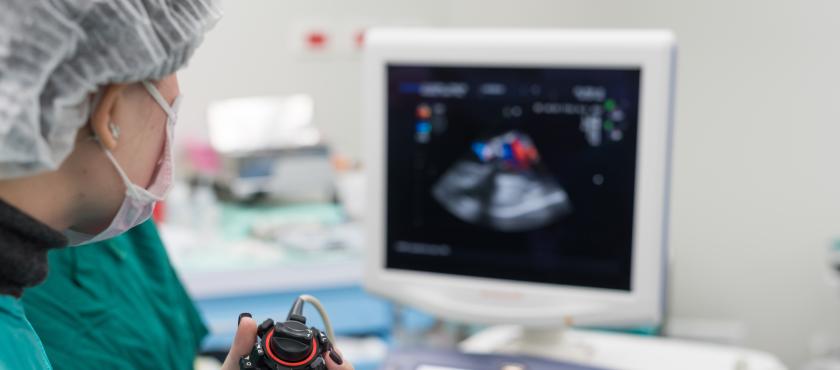 main of he Echocardiogram is a Primary Test to Investigate the Heart (healthychoice)