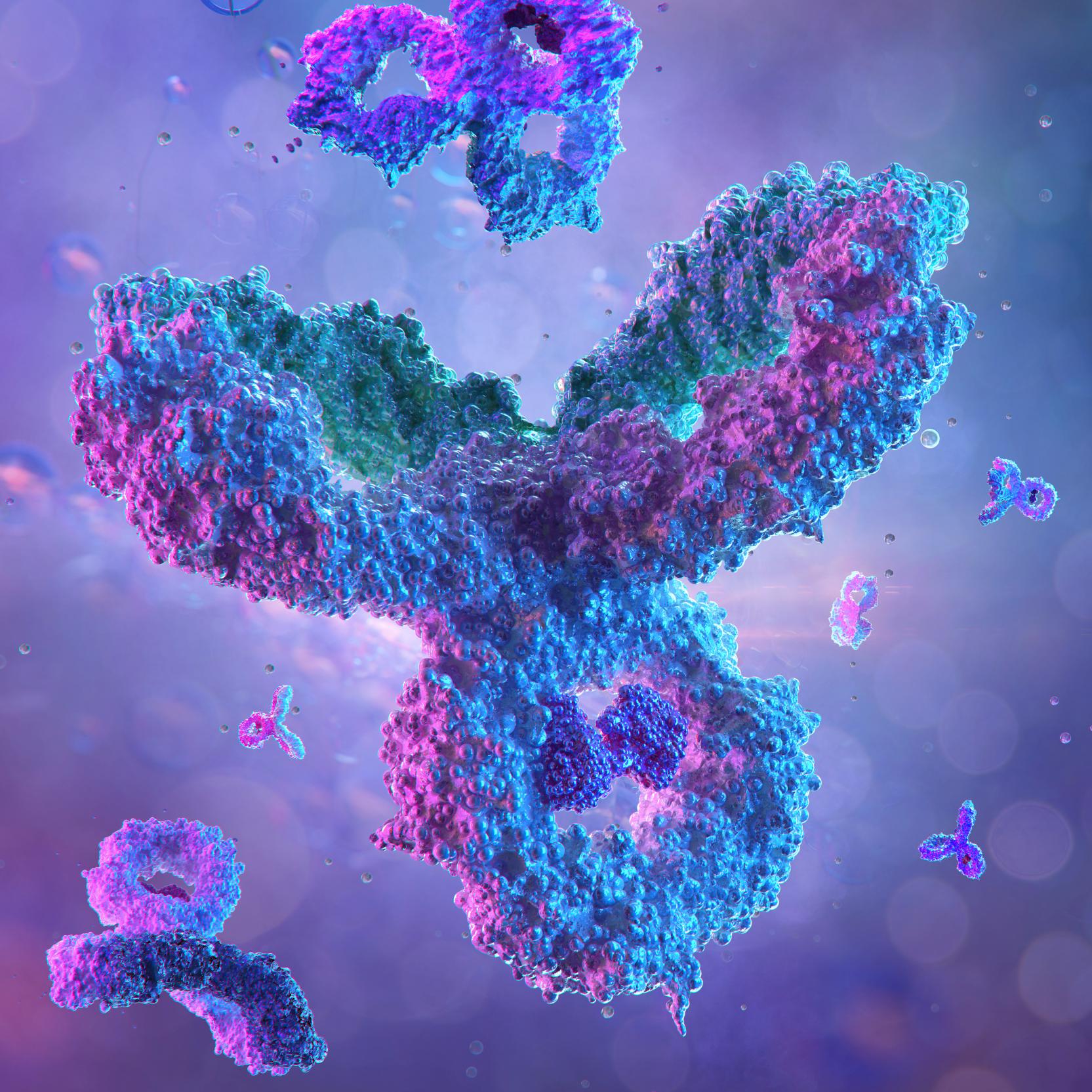 banner of Enhancing targeted therapy: The importance of antibody conjugation