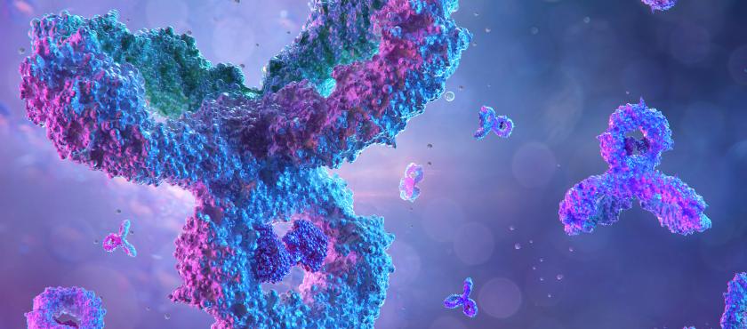 main of Enhancing targeted therapy: The importance of antibody conjugation